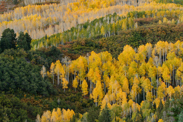 Cimarron range at sunset in autumn, San Juan Mountains, eastern Ouray County, Colorado