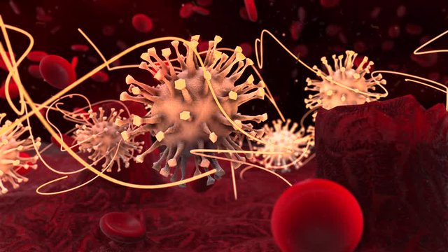 Hepatitis virus causing chronic disease illness