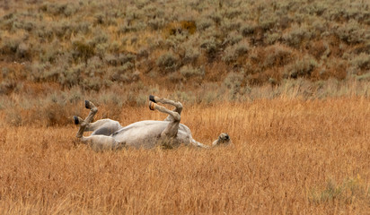 Four Not on the Floor