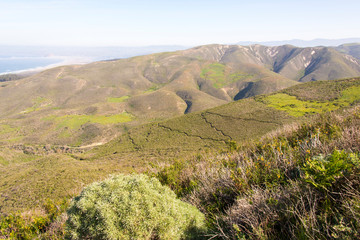 USA, California, coast Montana d'Oro State Park. Mountain biking trails cut pattern in vegetation