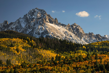 Autumn, aspen trees and Sneffels Range, Mount Sneffels Wilderness, Uncompahgre National Forest,...