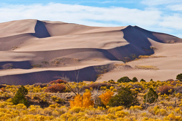 Naklejka na ściany i meble USA, Colorado, Alamosa, Great Sand Dunes National Park and Preserve