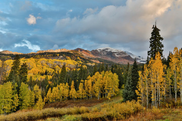 Fall colors near Kebler Pass, Crested Butte