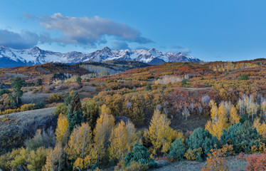 San Juan Mountains from the Dallas Divide morning light on fall colored Oak and Aspen, Colorado.