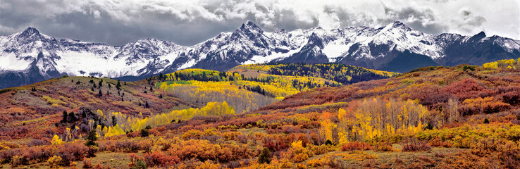 USA, Colorado, San Juan Mountains. Autumn turns aspen leaves orange and gold at Dallas Divide in the San Juan Mountains in Colorado - obrazy, fototapety, plakaty