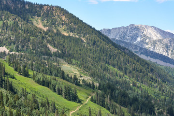 Fototapeta na wymiar Landscape view of a trail through the Rocky Mountains of Utah. 