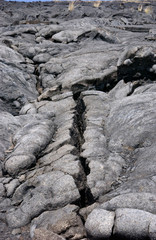 Lava fields near Kona, Big Island, Hawaii, USA