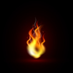 Fire flame, vector illustration in realistic style