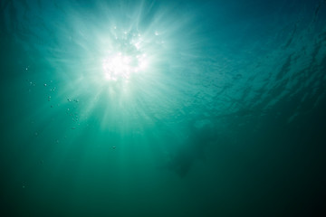 A spearfisherman is silhouetted by sunrays shining through the emerald waters of Florida Bay.