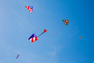 Kites flying at Flagler Beach, Florida