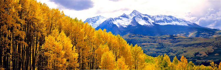 USA, Colorado, Telluride. Aspen forests cover the foothills of the San Juan Mountains near...