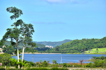  In a forest that is completely natural There are still many people. Popular to build houses to live in the mountains