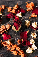 Dead Flowers Society