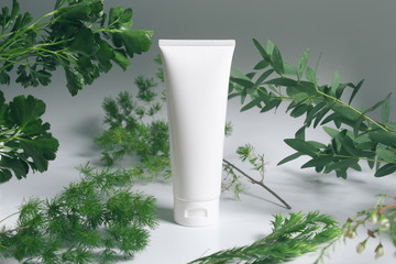 cosmetic lotion cream tube bottle pakage with green natural leaf tree herbal with summer season, beauty spa treatment concept