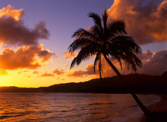 Tropical sunrise on the Garden Isle, Kauai, Hawaii.