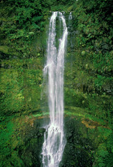 Obraz premium USA, Hawaii. Waterfall