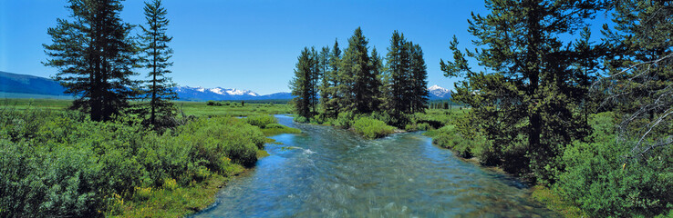 USA, Idaho, Sawtooth NRA. Visitors enjoy a summer view of the rushing headwaters of the Salmon...