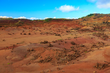 Fototapeta na wymiar Kaehiakawaelo (Garden of the Gods), a martian landscape of red dirt, purple lava, and rock formations created by erosion, Lanai Island, Hawaii, USA