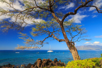 Maui, Hawaii, USA