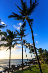 Fototapeta na wymiar Small beach in Makena area, Maui, Hawaii, USA