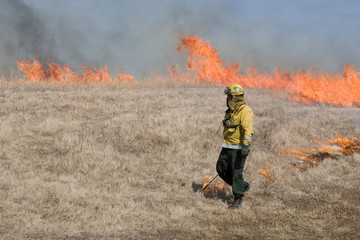 IDNR employee doing controlled prairie burn at Prairie Ridge State Natural Area, Marion County,...