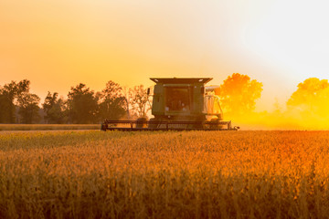 Soybean harvest at sunset, Marion County, Illinois