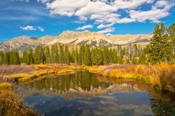 Fototapeta na wymiar Reflection, Big Wood River, autumn, Sawtooth National Forest: Idaho, USA