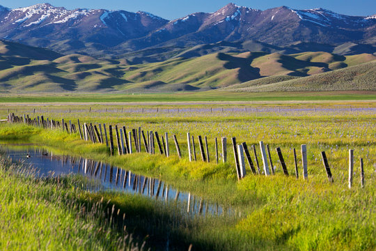 USA, Idaho, Fairfield, Camas Prairie, Creek and fence in the Camas Prairie