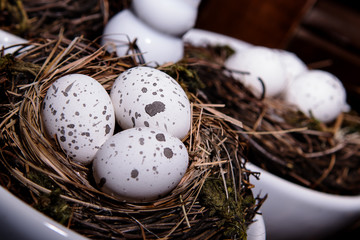 Eggs in Birds Nest in decorative white dish.  Three Quail Easter Eggs with rustic look.