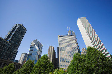 Fototapeta na wymiar USA, Illinois, Chicago. Skyscrapers and trees. 