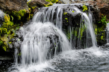 Obraz premium Small stream cascading over rocks in mountains of Kilauea, Kauai, Hawaii.