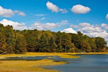 Early autumn, Maquoit Bay Conservation Land, Maine, USA