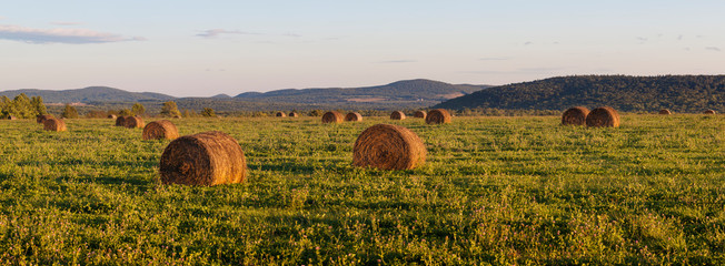 Hay bales in a field next to the Roach Farm Campsite on the International Appalachian Trail. Merrill, Maine, near Smyrna Mills. © Jerry & Marcy Monkman/Danita Delimont