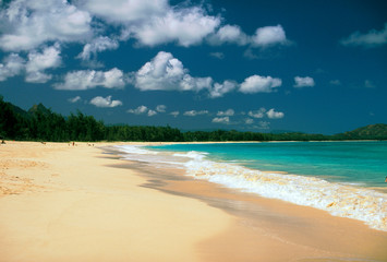 Fototapeta na wymiar USA, Hawaii. Beach scene