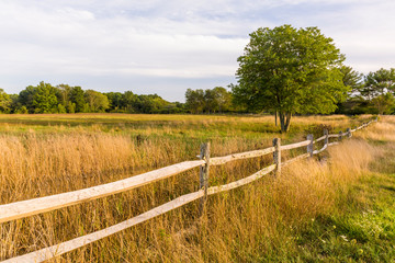 A field in Ipswich, Massachusetts.