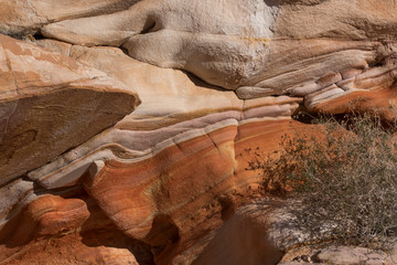 USA, Nevada. Abstract lines of sandstone rock formations, Gold Butte National Monument