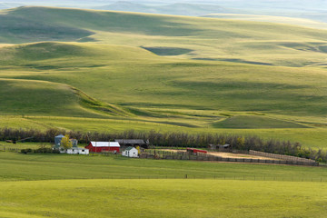 Fototapeta na wymiar USA, Montana, Rocky Mountain Front. Farm nestled amid green hills east of Great Falls. 