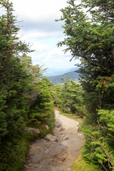 Naklejka premium Path near the summit of Cannon Mountain, Franconia Notch State Park, New Hampshire, USA