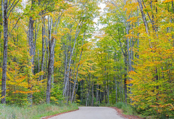 Michigan, Pictured Rocks National Lakeshore, road to Miners Falls with trees in fall color