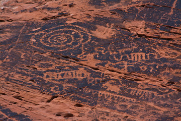 Fototapeta premium Petroglyph, Petroglyph Canyon, Valley of Fire State Park, Nevada, USA