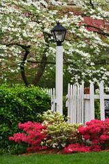Pickett fence, lamp, azaleas, and flowering dogwood tree, Cornus Florida, Audubon neighborhood, Louisville, Kentucky