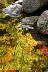 USA, New Hampshire, White Mountains National Forest. Colorful reflection of autumn leaves on the Zealand River