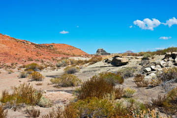 Fototapeta na wymiar USA, New Mexico, Farmington, Bisti De-Na-Zin Wilderness, true desert wilderness