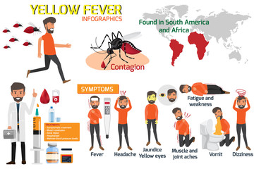 Yellow fever infographic elements. Symptoms, Preventions and Treatment Yellow fever or dengue. Dangerous mosquito. Outbreak from mosquito. There is an outbreak in South America and Africa.