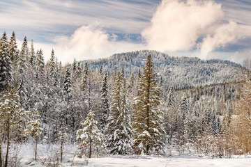 Winter mountain scene, Montana