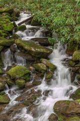 Fototapeta na wymiar Mountain stream, Great Smoky Mountains National Park, North Carolina