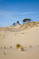 OR, Oregon Coast, Oregon Dunes National Recreation Area, Sand Dunes
