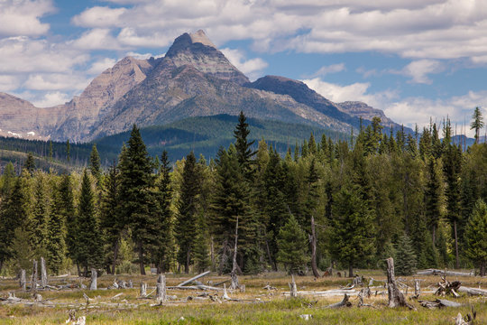 Glacier National Park, Livingston Range seen from a Polebridge Meadow