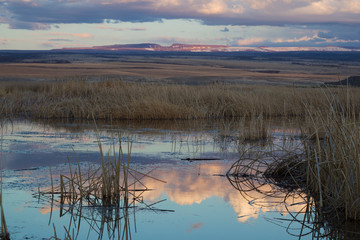Wetlands at Dusk