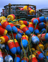USA, Oregon, Newport. Crab rings and floats on dock. 